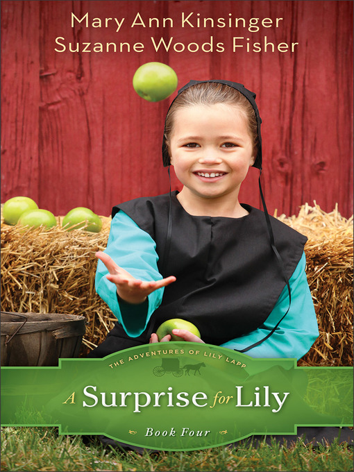 Title details for A Surprise for Lily by Mary Ann Kinsinger - Available